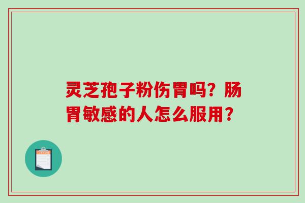 灵芝孢子粉伤胃吗？肠胃敏感的人怎么服用？