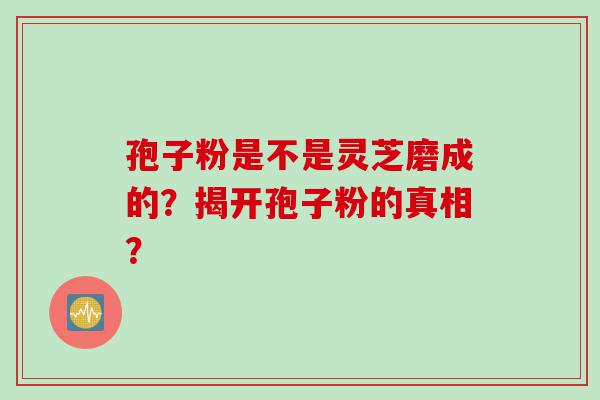 孢子粉是不是灵芝磨成的？揭开孢子粉的真相？