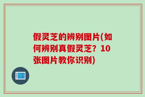 假灵芝的辨别图片(如何辨别真假灵芝？10张图片教你识别)