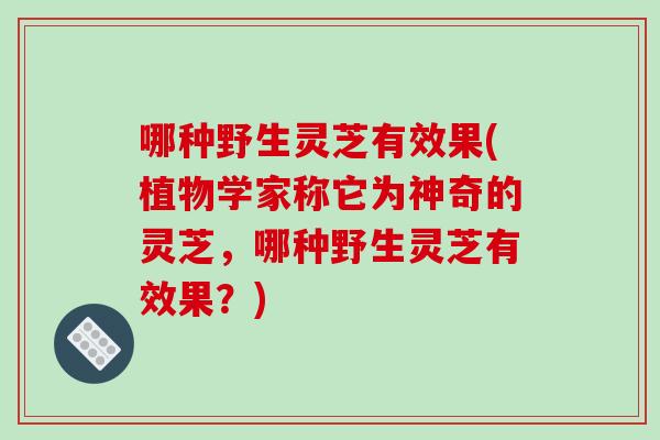 哪种野生灵芝有效果(植物学家称它为神奇的灵芝，哪种野生灵芝有效果？)
