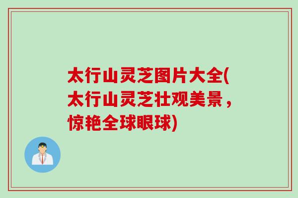 太行山灵芝图片大全(太行山灵芝壮观美景，惊艳全球眼球)