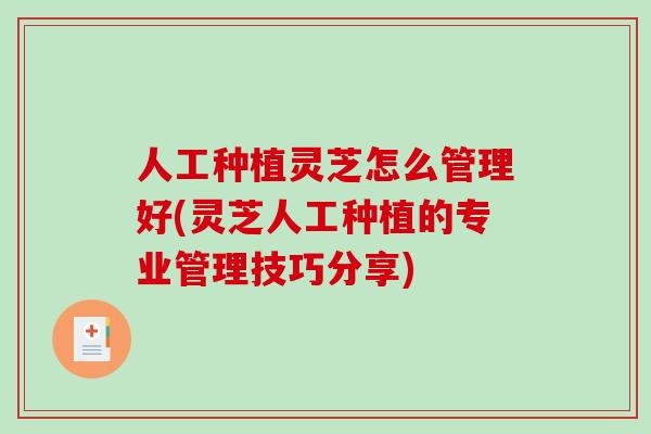 人工种植灵芝怎么管理好(灵芝人工种植的专业管理技巧分享)