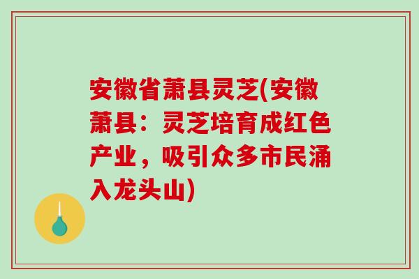 安徽省萧县灵芝(安徽萧县：灵芝培育成红色产业，吸引众多市民涌入龙头山)
