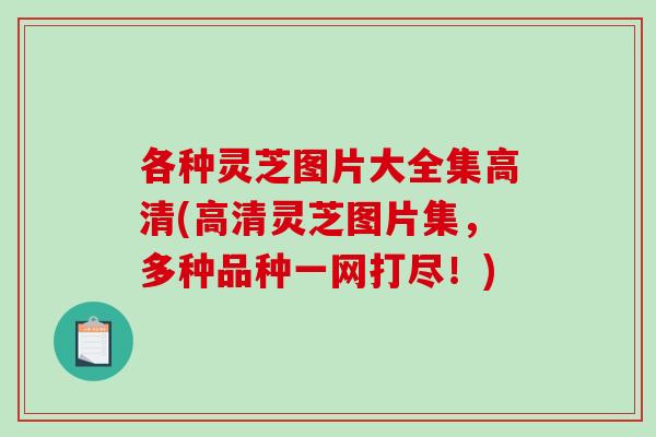 各种灵芝图片大全集高清(高清灵芝图片集，多种品种一网打尽！)
