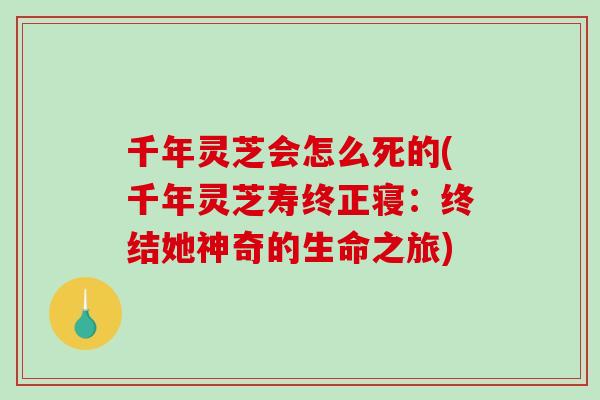 千年灵芝会怎么死的(千年灵芝寿终正寝：终结她神奇的生命之旅)