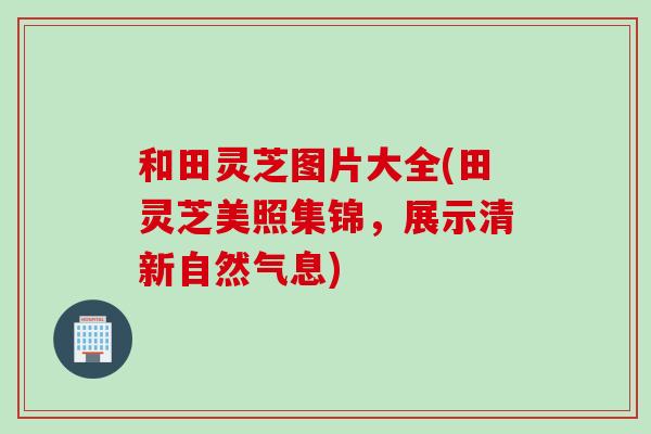 和田灵芝图片大全(田灵芝美照集锦，展示清新自然气息)