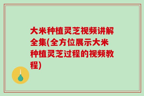 大米种植灵芝视频讲解全集(全方位展示大米种植灵芝过程的视频教程)
