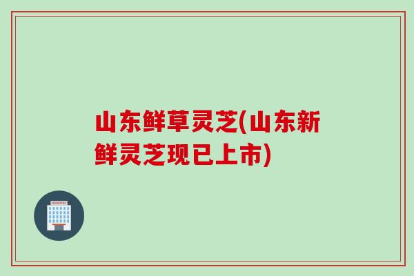 山东鲜草灵芝(山东新鲜灵芝现已上市)