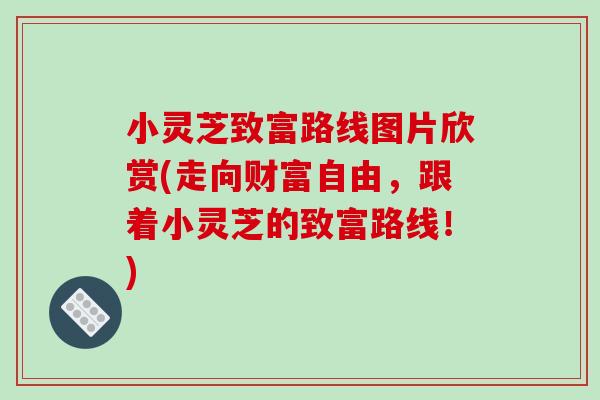 小灵芝致富路线图片欣赏(走向财富自由，跟着小灵芝的致富路线！)