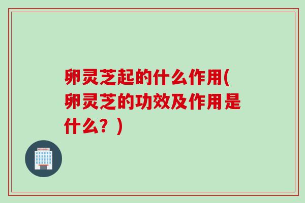 卵灵芝起的什么作用(卵灵芝的功效及作用是什么？)