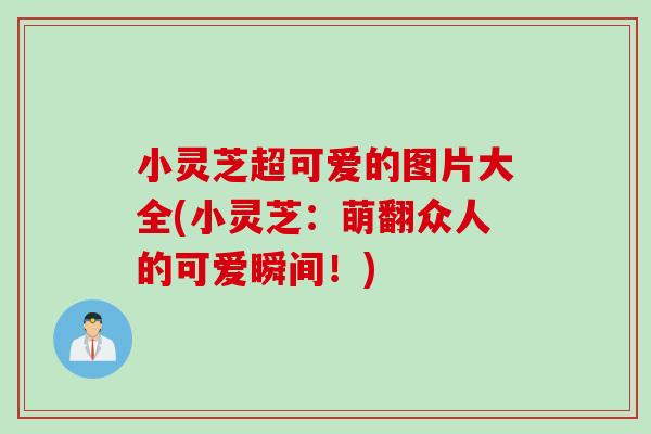 小灵芝超可爱的图片大全(小灵芝：萌翻众人的可爱瞬间！)
