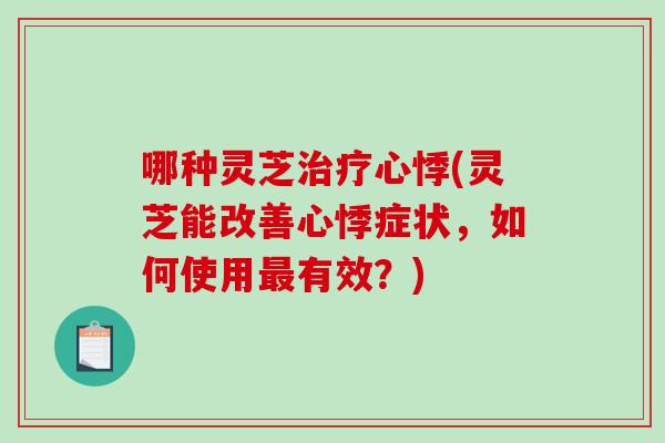 哪种灵芝治疗心悸(灵芝能改善心悸症状，如何使用最有效？)