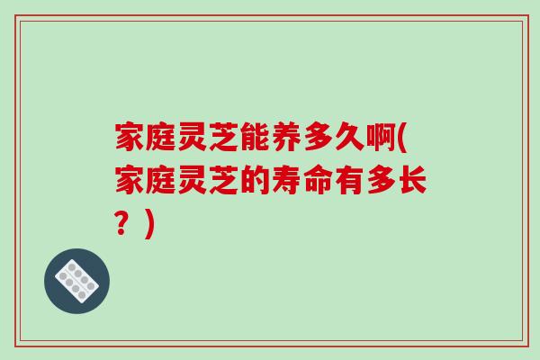 家庭灵芝能养多久啊(家庭灵芝的寿命有多长？)