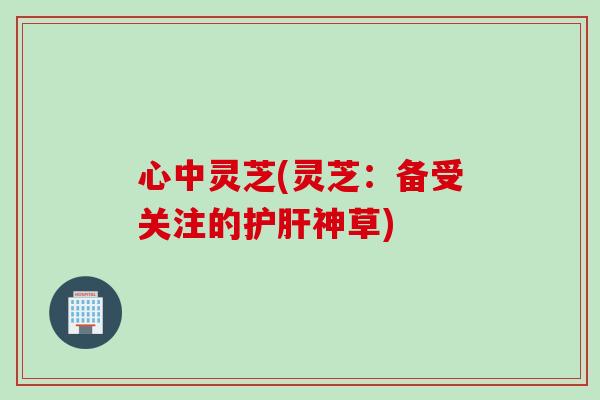 心中灵芝(灵芝：备受关注的护肝神草)