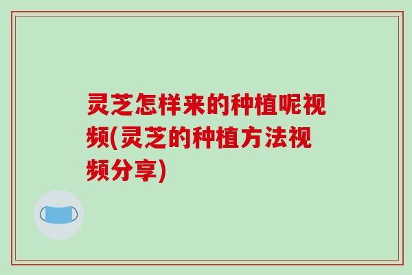 灵芝怎样来的种植呢视频(灵芝的种植方法视频分享)