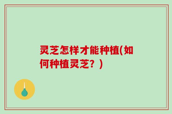 灵芝怎样才能种植(如何种植灵芝？)