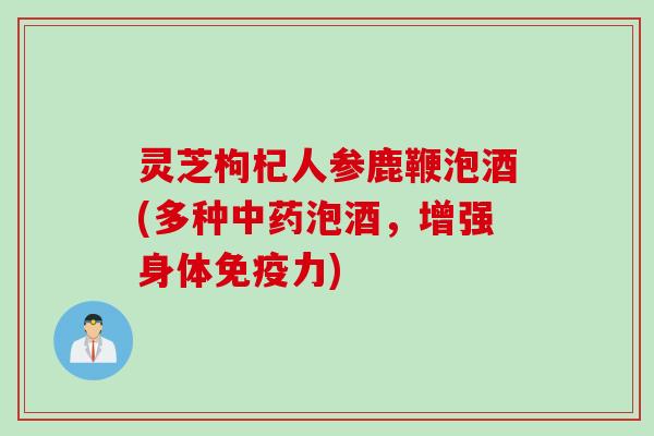 灵芝枸杞人参鹿鞭泡酒(多种中药泡酒，增强身体免疫力)