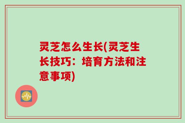 灵芝怎么生长(灵芝生长技巧：培育方法和注意事项)