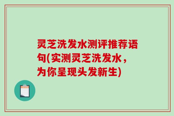 灵芝洗发水测评推荐语句(实测灵芝洗发水，为你呈现头发新生)