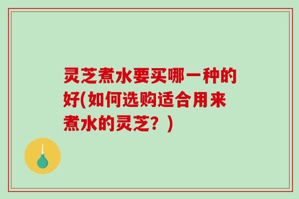 灵芝煮水要买哪一种的好(如何选购适合用来煮水的灵芝？)