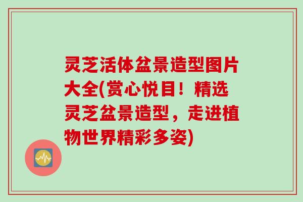 灵芝活体盆景造型图片大全(赏心悦目！精选灵芝盆景造型，走进植物世界精彩多姿)