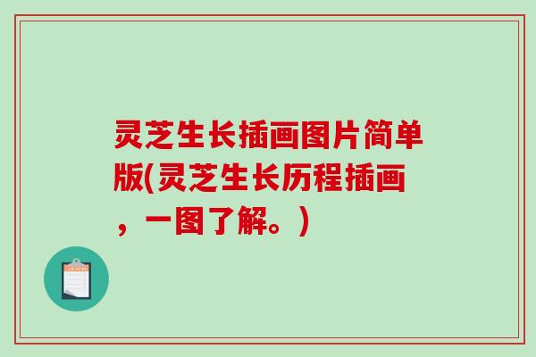 灵芝生长插画图片简单版(灵芝生长历程插画，一图了解。)