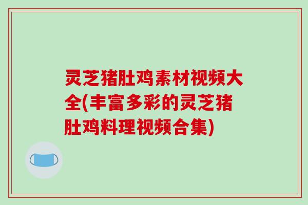 灵芝猪肚鸡素材视频大全(丰富多彩的灵芝猪肚鸡料理视频合集)