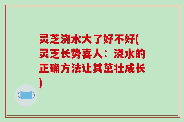 灵芝浇水大了好不好(灵芝长势喜人：浇水的正确方法让其茁壮成长)