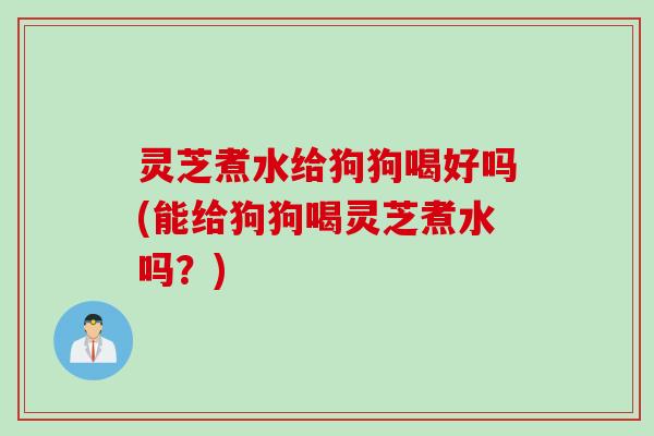 灵芝煮水给狗狗喝好吗(能给狗狗喝灵芝煮水吗？)