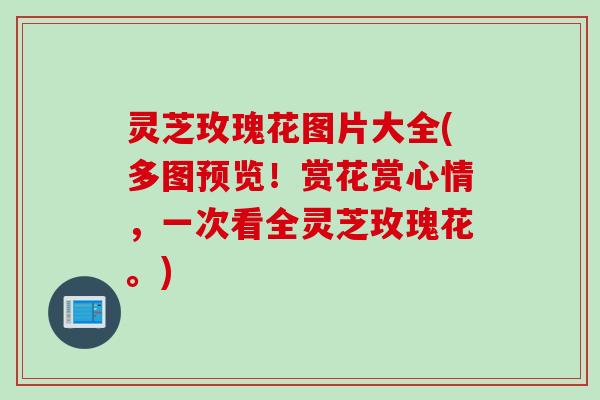 灵芝玫瑰花图片大全(多图预览！赏花赏心情，一次看全灵芝玫瑰花。)