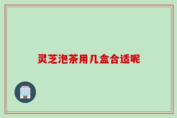 灵芝泡茶用几盒合适呢