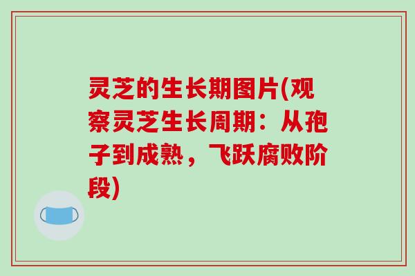灵芝的生长期图片(观察灵芝生长周期：从孢子到成熟，飞跃腐败阶段)