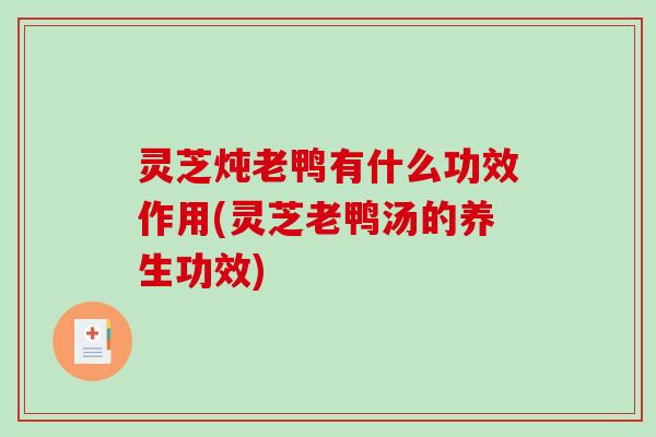 灵芝炖老鸭有什么功效作用(灵芝老鸭汤的养生功效)