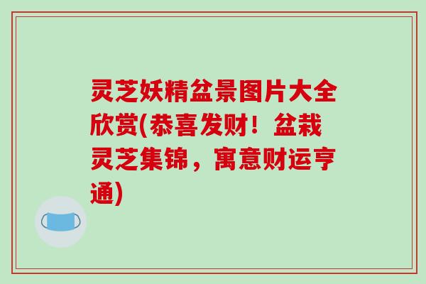 灵芝妖精盆景图片大全欣赏(恭喜发财！盆栽灵芝集锦，寓意财运亨通)