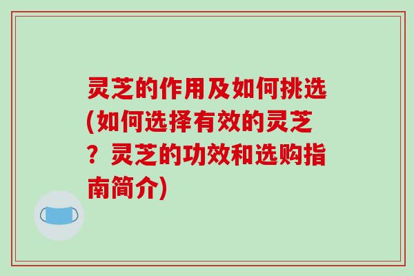 灵芝的作用及如何挑选(如何选择有效的灵芝？灵芝的功效和选购指南简介)