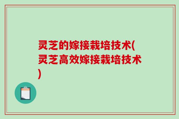 灵芝的嫁接栽培技术(灵芝高效嫁接栽培技术)