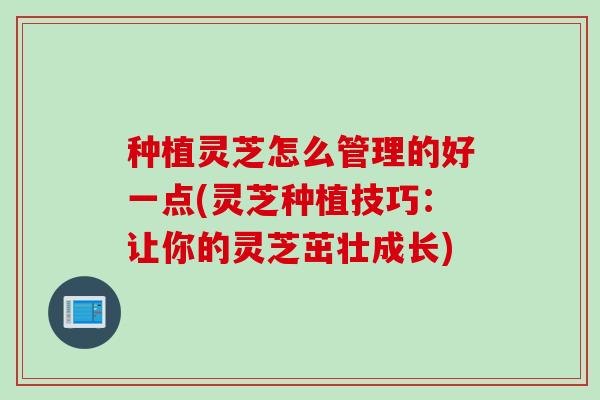 种植灵芝怎么管理的好一点(灵芝种植技巧：让你的灵芝茁壮成长)