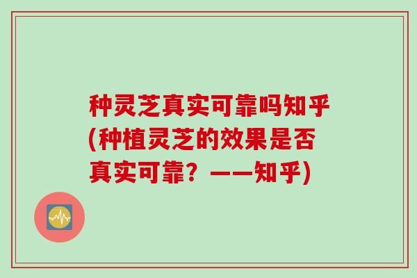 种灵芝真实可靠吗知乎(种植灵芝的效果是否真实可靠？——知乎)