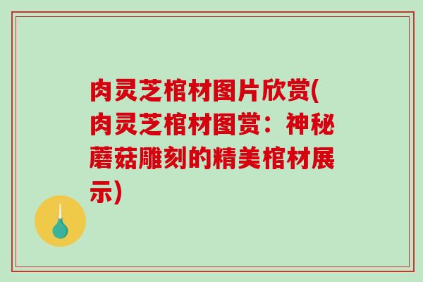 肉灵芝棺材图片欣赏(肉灵芝棺材图赏：神秘蘑菇雕刻的精美棺材展示)