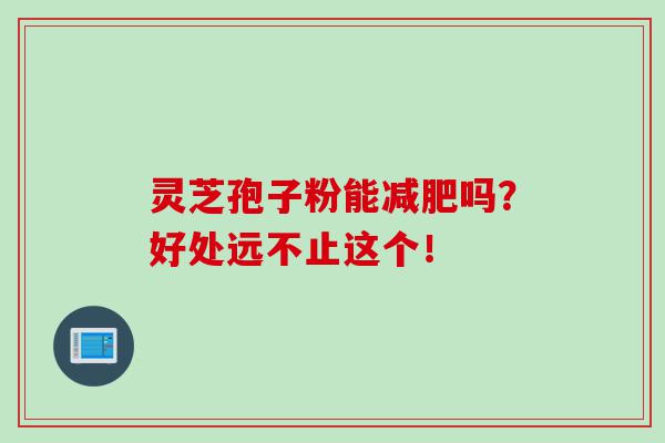 灵芝孢子粉能减肥吗？好处远不止这个！