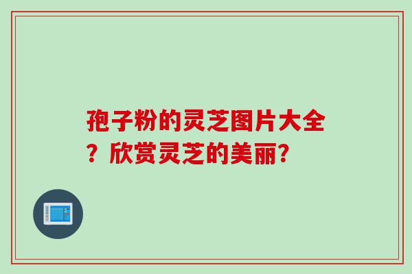 孢子粉的灵芝图片大全？欣赏灵芝的美丽？