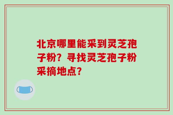 北京哪里能采到灵芝孢子粉？寻找灵芝孢子粉采摘地点？