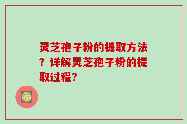 灵芝孢子粉的提取方法？详解灵芝孢子粉的提取过程？