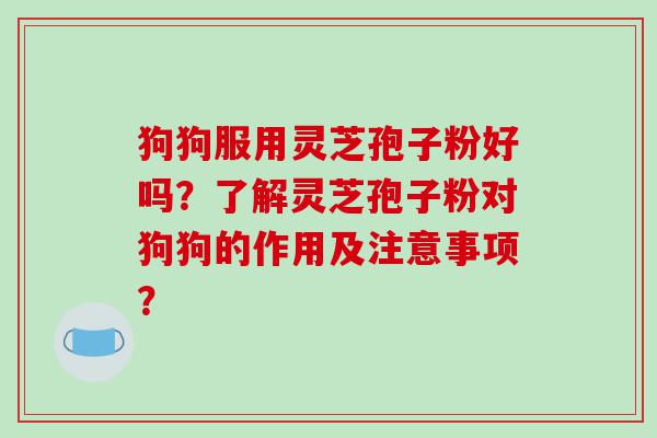 狗狗服用灵芝孢子粉好吗？了解灵芝孢子粉对狗狗的作用及注意事项？