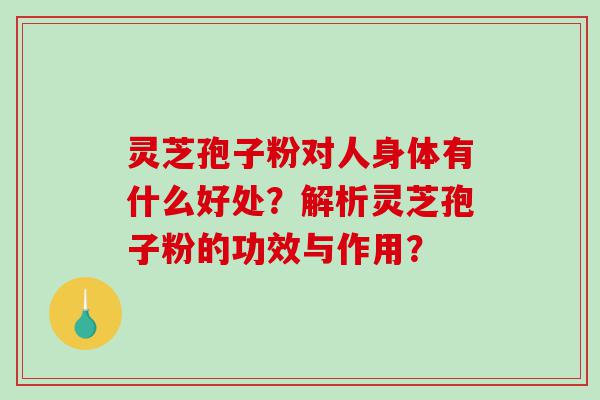 灵芝孢子粉对人身体有什么好处？解析灵芝孢子粉的功效与作用？