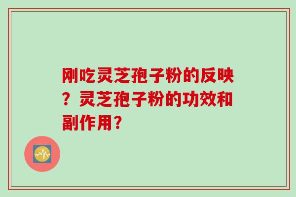 刚吃灵芝孢子粉的反映？灵芝孢子粉的功效和副作用？