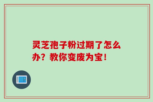 灵芝孢子粉过期了怎么办?教你变废为宝! 灵芝孢子粉过期了怎么办?教你变废为宝!