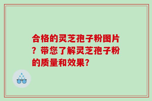 合格的灵芝孢子粉图片？带您了解灵芝孢子粉的质量和效果？