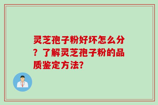 灵芝孢子粉好坏怎么分？了解灵芝孢子粉的品质鉴定方法？