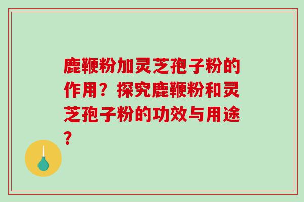 鹿鞭粉加灵芝孢子粉的作用？探究鹿鞭粉和灵芝孢子粉的功效与用途？
